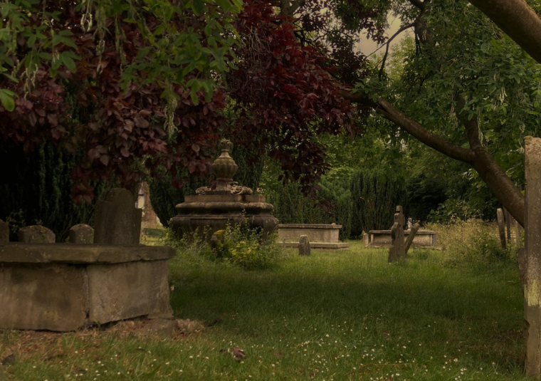A photograph of a cemetery with headstones throughout the scene, long grass and autumnal trees.