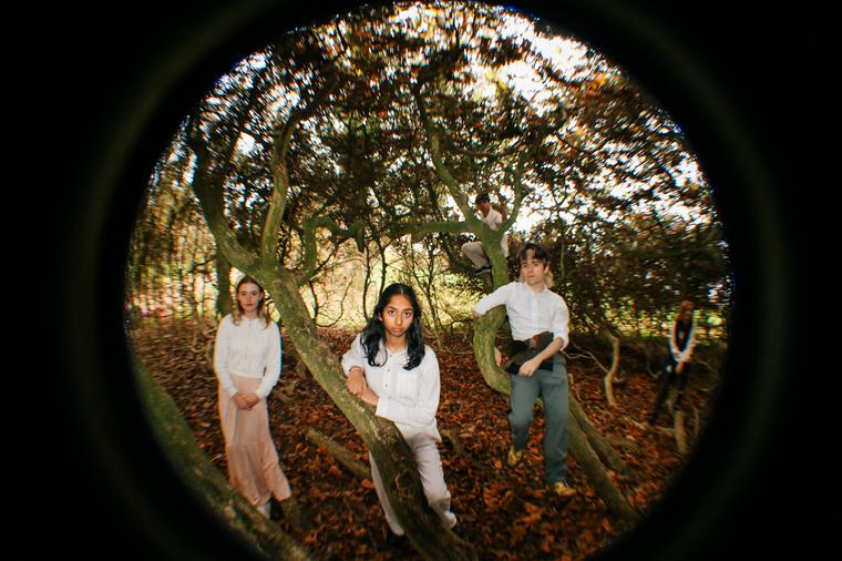 A group of people pose on tree branches in the woods. Taken with a fish eye lens.