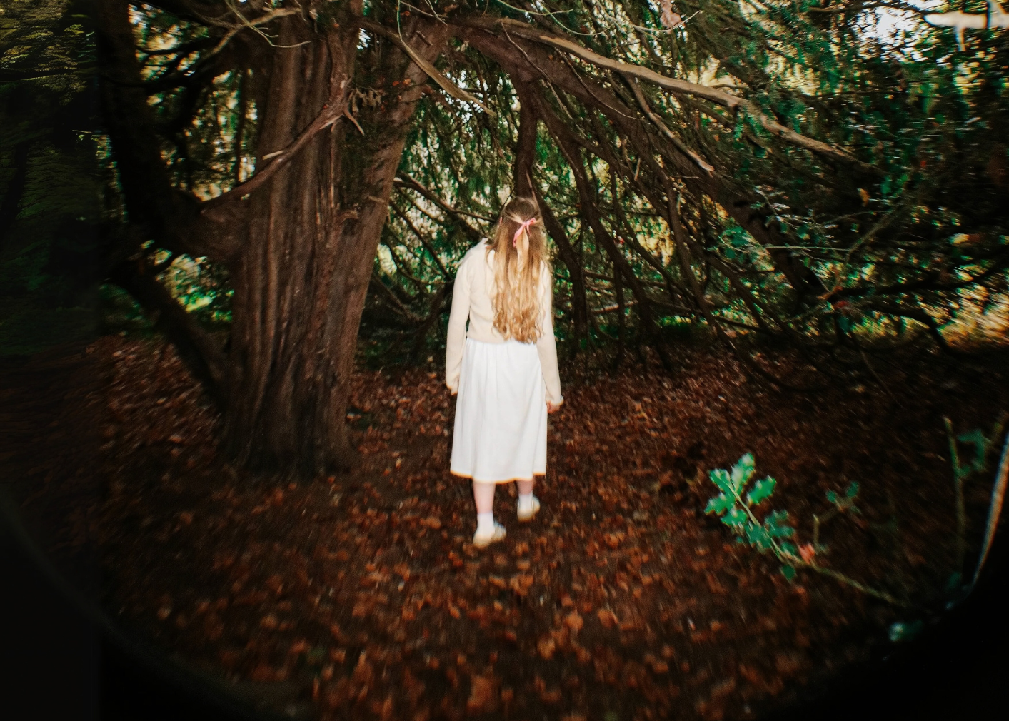Taken with a fish eye lens, a figure in a white dress with long blonde hair adorned with a pink ribbon, walks deeper into the woods underneath a large tree. She walks away from the frame.