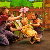 Rabbit in a lawn chair looking at a pink butterfly.