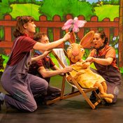 Rabbit in a lawn chair looking at a pink butterfly.