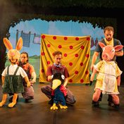 Pig and Hen playing hide and seek.