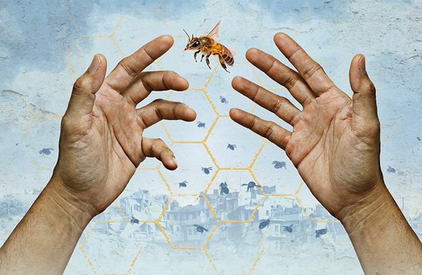 A pair of hands are outstretched in front with the palms facing upward with a bee floating in the middle. In the background, a faint outline of golden honeycomb patterns overlay an image of Aleppo in the background.