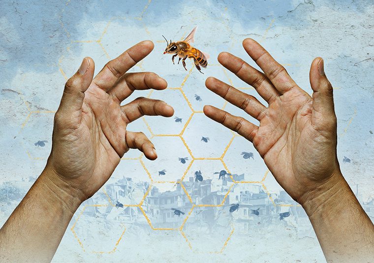 A pair of hands are outstretched in front with the palms facing upward with a bee floating in the middle. In the background, a faint outline of golden honeycomb patterns overlay an image of Aleppo in the background.