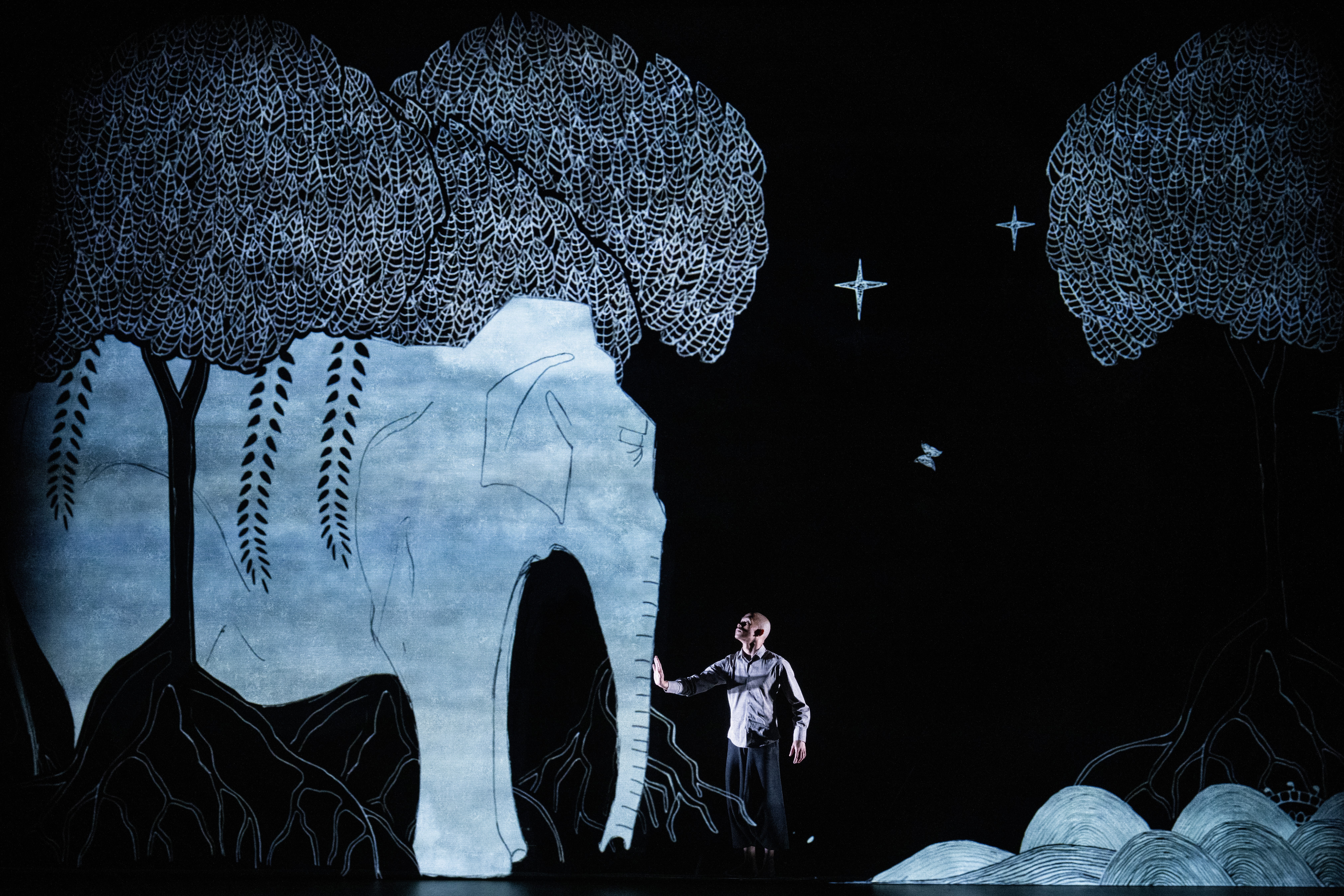 A dark background with stars. White trees and a large white elephant can be seen with a man stroking the elephants trunk, looking up towards it.