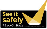 See it safely - logo