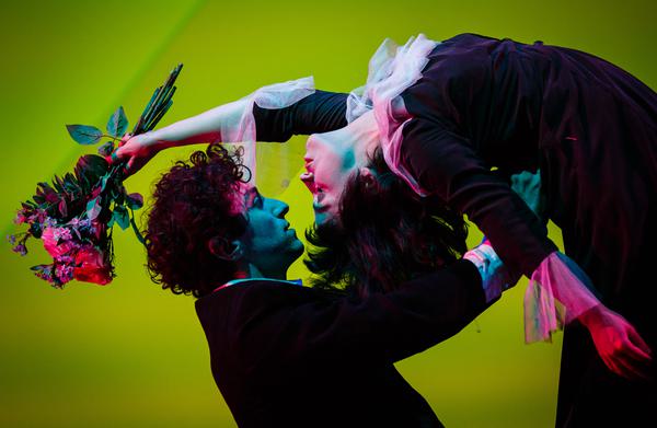 The Flying Lovers of Vitebsk