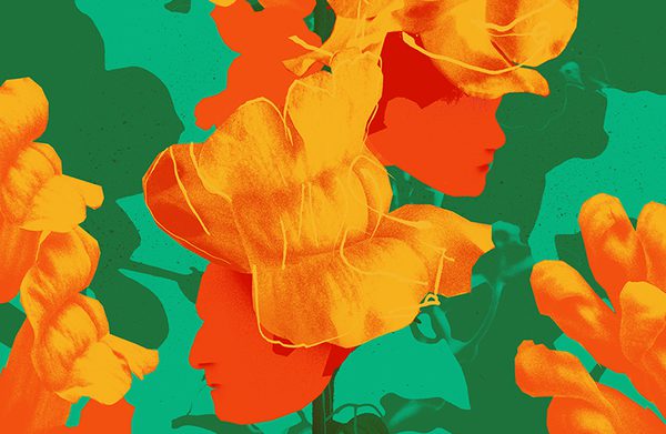 Illustration of brightly coloured orange snapdragons with silhouettes of a man and woman's face in between the flowers. An abstract background of teal and green shadow the floral patterns.