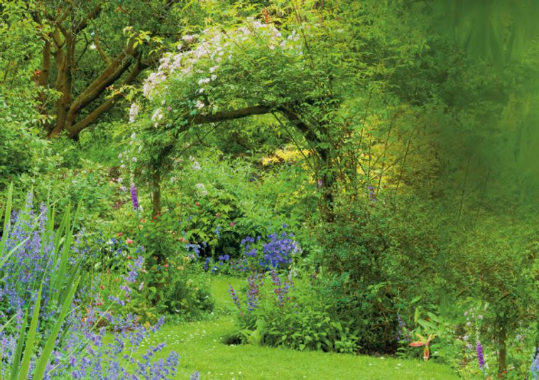 A garden with trees and blue and white flowers on top of a green lawn path